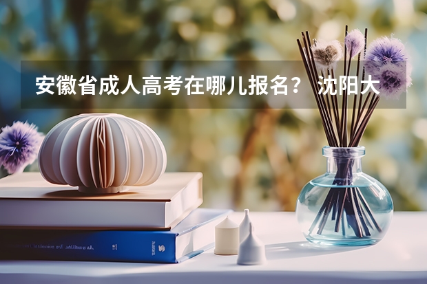 安徽省成人高考在哪儿报名? 沈阳大学成人高考报名入口?