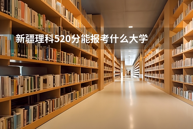 新疆理科520分能报考什么大学
