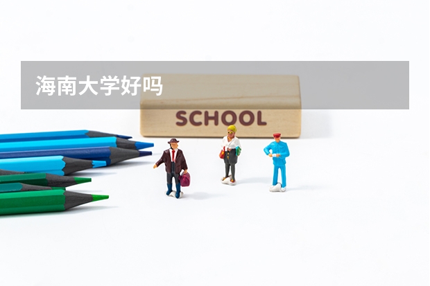海南大学好吗