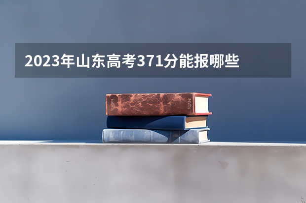 2023年山东高考371分能报哪些公办大学