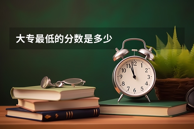 大专最低的分数是多少