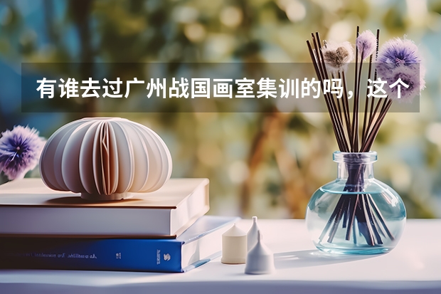 有谁去过广州战国画室集训的吗，这个画室怎么样？