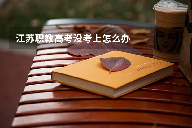 江苏职教高考没考上怎么办