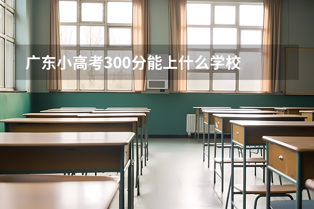 广东小高考300分能上什么学校