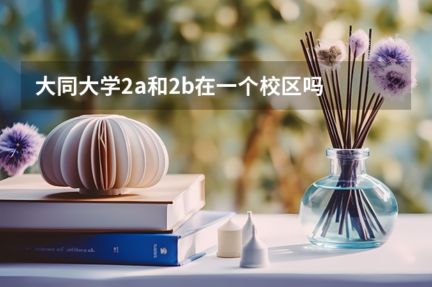 大同大学2a和2b在一个校区吗