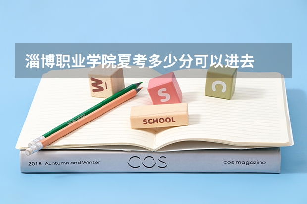 淄博职业学院夏考多少分可以进去