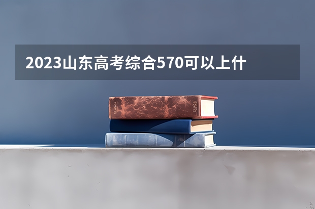 2023山东高考综合570可以上什么大学