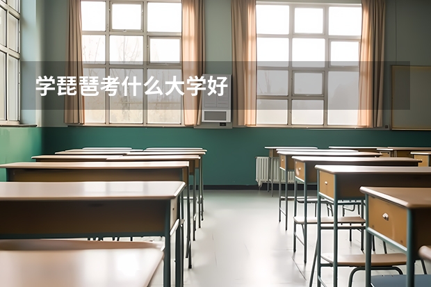 学琵琶考什么大学好