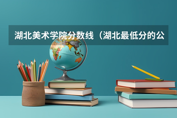 湖北美术学院分数线（湖北最低分的公办大学）
