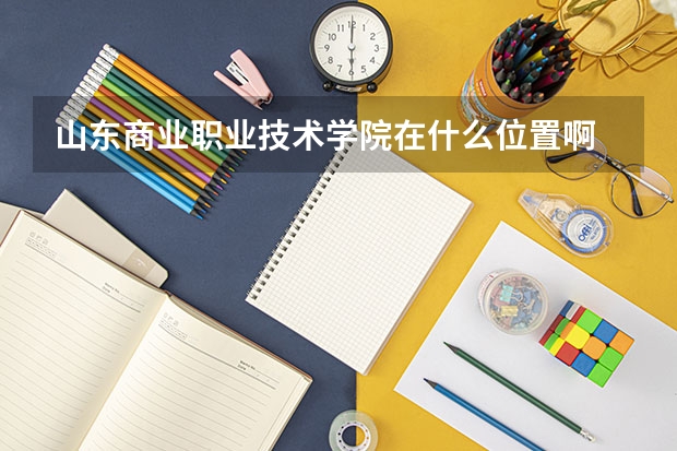 山东商业职业技术学院在什么位置啊