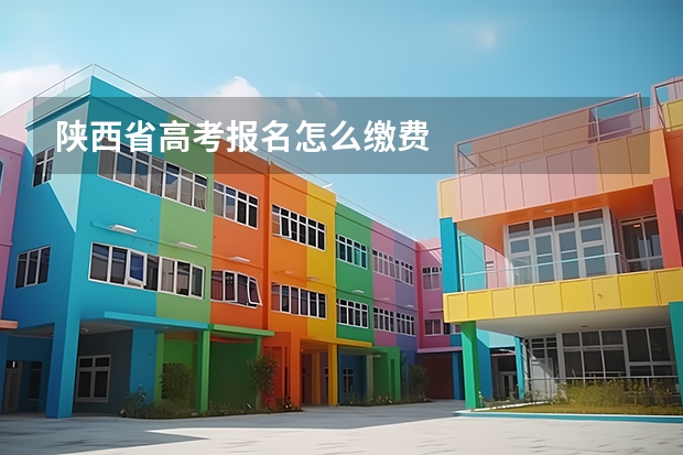 陕西省高考报名怎么缴费