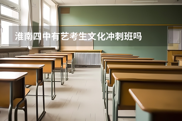 淮南四中有艺考生文化冲刺班吗