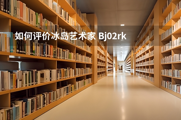 如何评价冰岛艺术家 Bj02rk