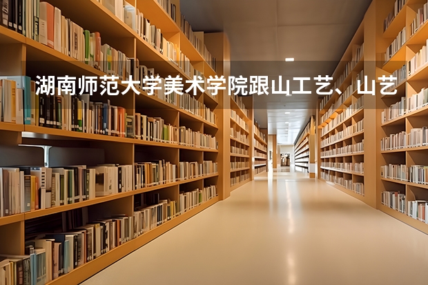 湖南师范大学美术学院跟山工艺、山艺、山师、山大美术系相比哪个好一些?