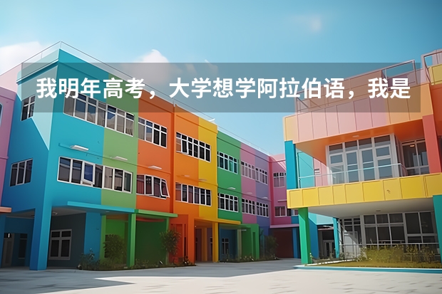 我明年高考，大学想学阿拉伯语，我是山东的，请问本科有哪些学校可以报考啊？