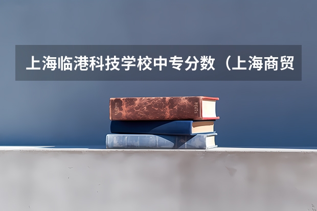 上海临港科技学校中专分数（上海商贸旅游学校录取分数线）
