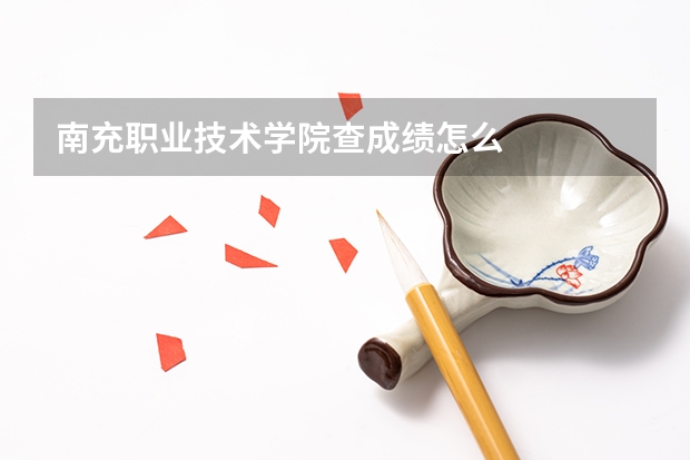 南充职业技术学院查成绩怎么