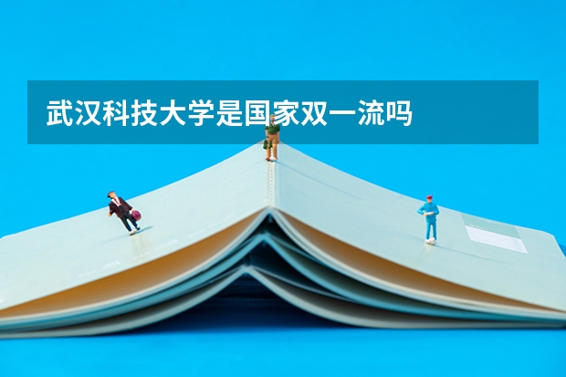 武汉科技大学是国家双一流吗