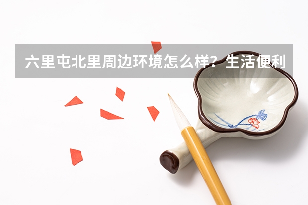 六里屯北里周边环境怎么样？生活便利吗？