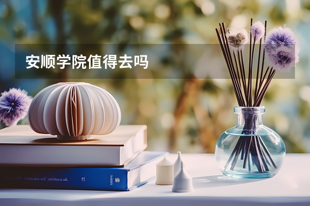 安顺学院值得去吗