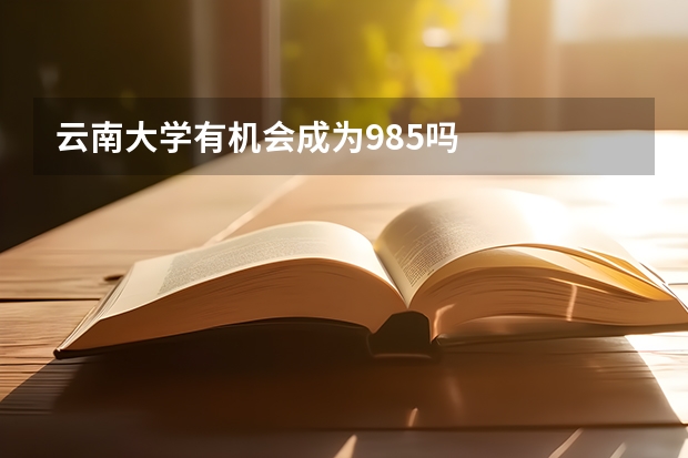 云南大学有机会成为985吗