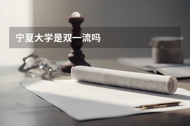 宁夏大学是双一流吗