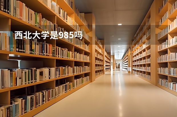 西北大学是985吗