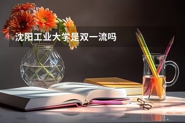 沈阳工业大学是双一流吗
