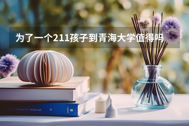 为了一个211孩子到青海大学值得吗