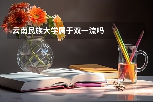 云南民族大学属于双一流吗