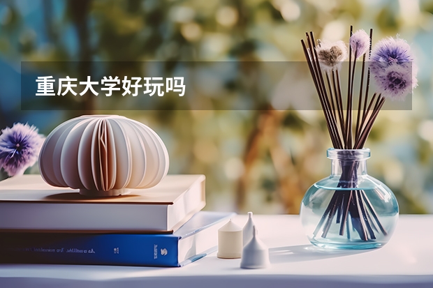 重庆大学好玩吗