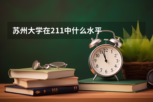 苏州大学在211中什么水平