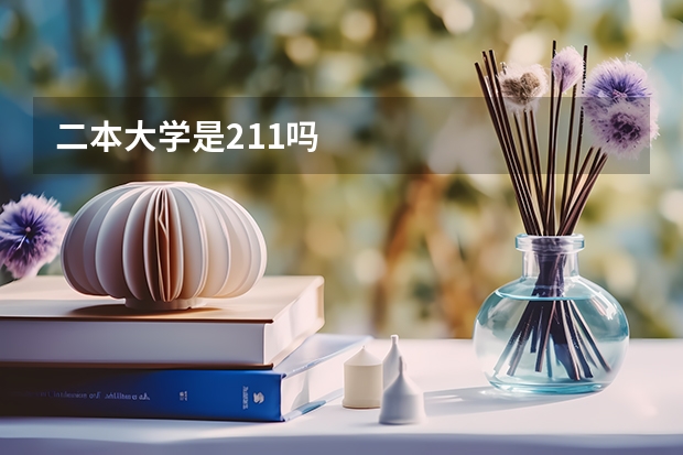 二本大学是211吗