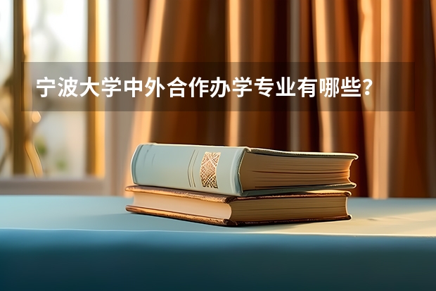 宁波大学中外合作办学专业有哪些?