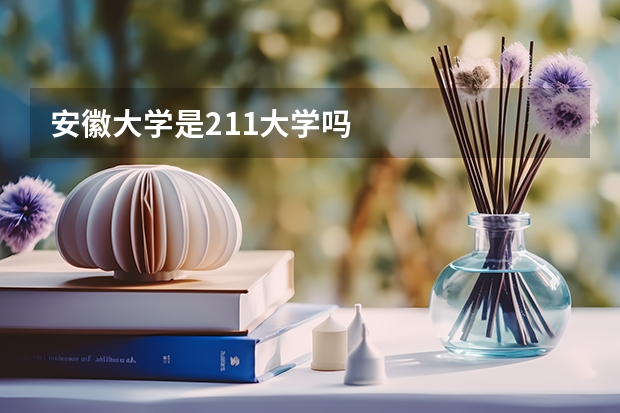 安徽大学是211大学吗