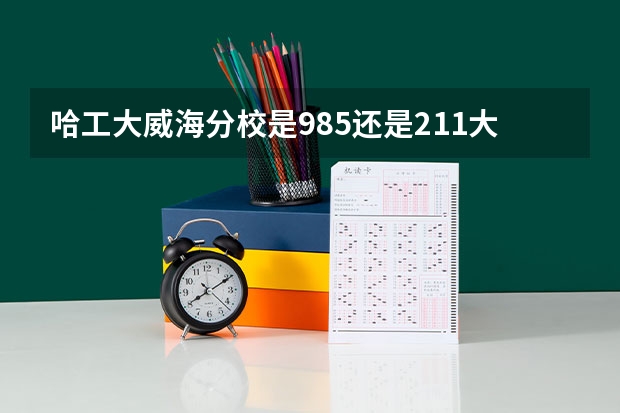 哈工大威海分校是985还是211大学(最好的十所211大学?)