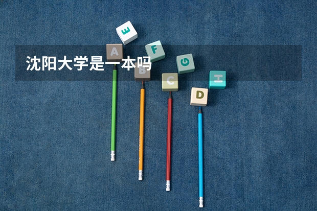 沈阳大学是一本吗