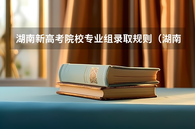 湖南新高考院校专业组录取规则(湖南省高考同分录取规则)