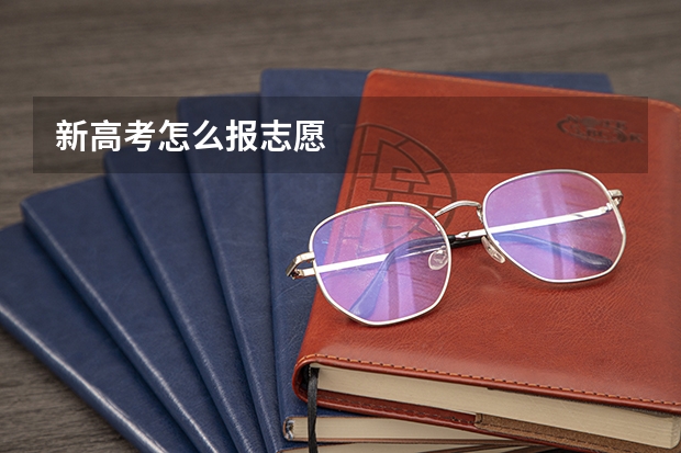 新高考怎么报志愿