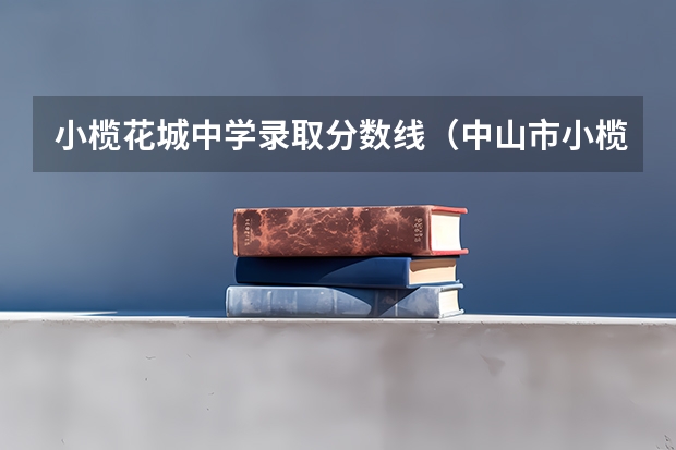 小榄花城中学录取分数线(中山市小榄中学分数线)