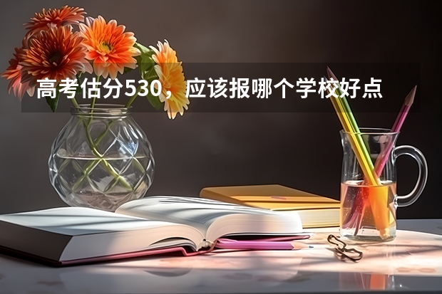 高考估分530，应该报哪个学校好点