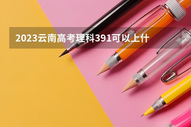 2023云南高考理科391可以上什么大学