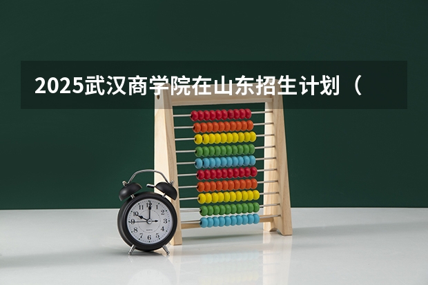 2025武汉商学院在山东招生计划（招生人数）