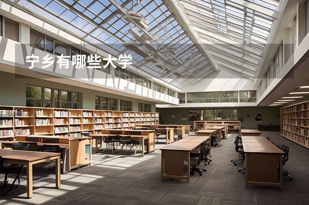 宁乡有哪些大学