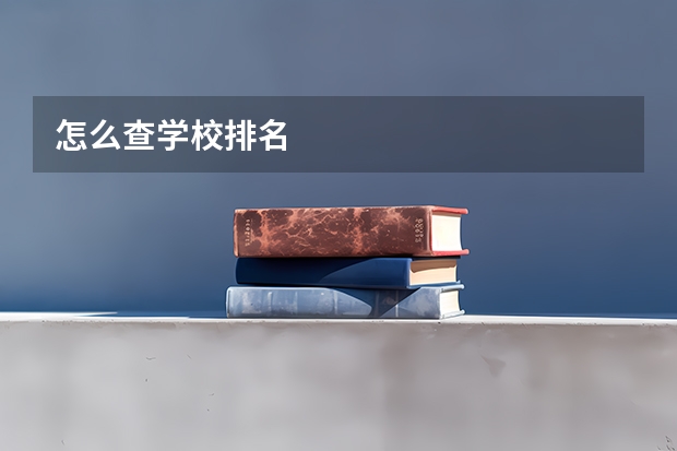 怎么查学校排名