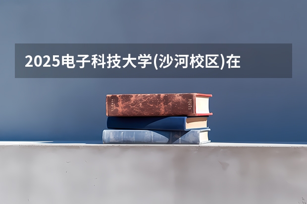 2025电子科技大学(沙河校区)在湖南招生计划（招生人数）