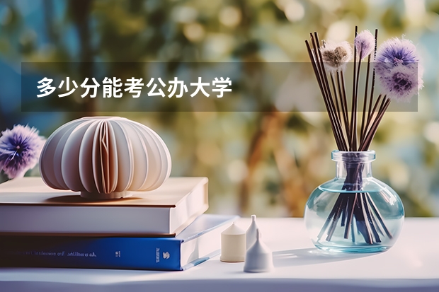 多少分能考公办大学