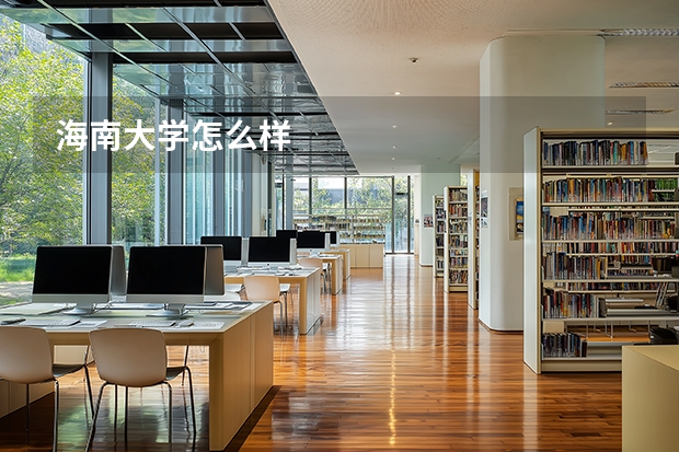 海南大学怎么样