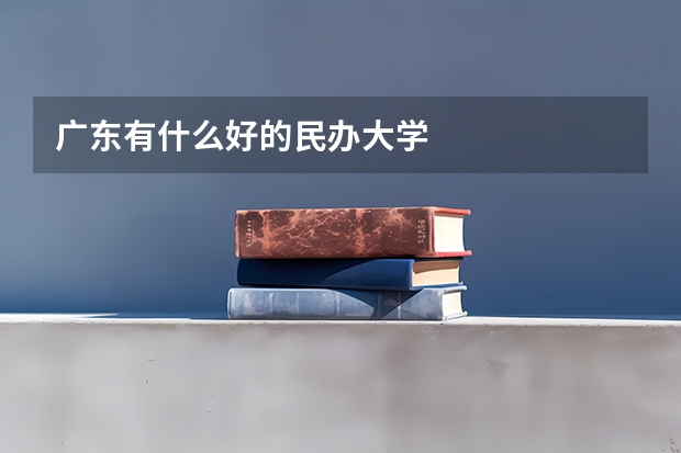 广东有什么好的民办大学