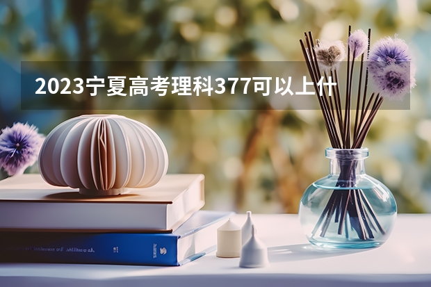 2023宁夏高考理科377可以上什么大学